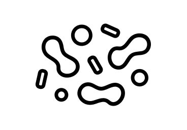 Prebióticos y probióticos